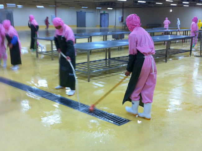 Polyurethane floor construct