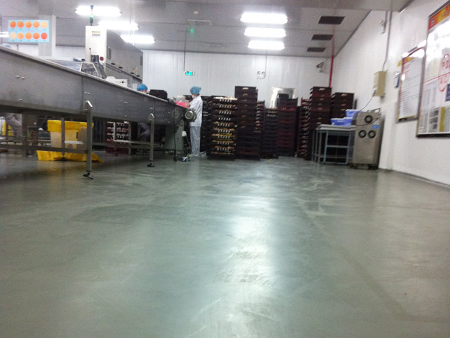 Polyurethane floor