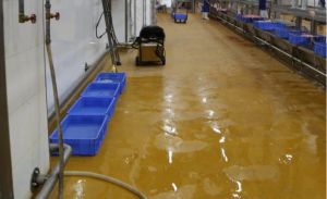BPU D/ 4-8mm mild non-slip water-bas