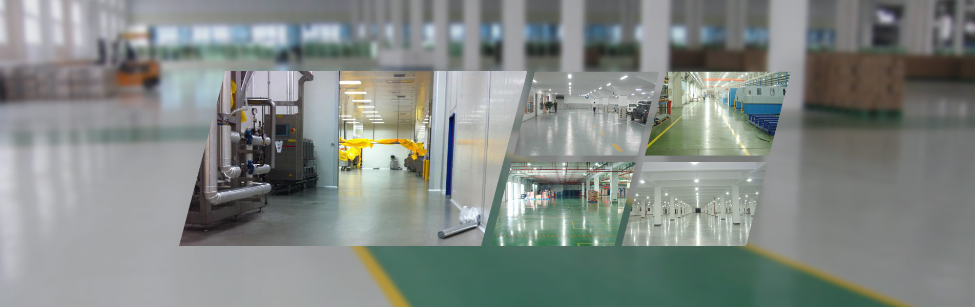 Bogute-Dongguan Zhuocheng Floor Technology Co., Ltd.